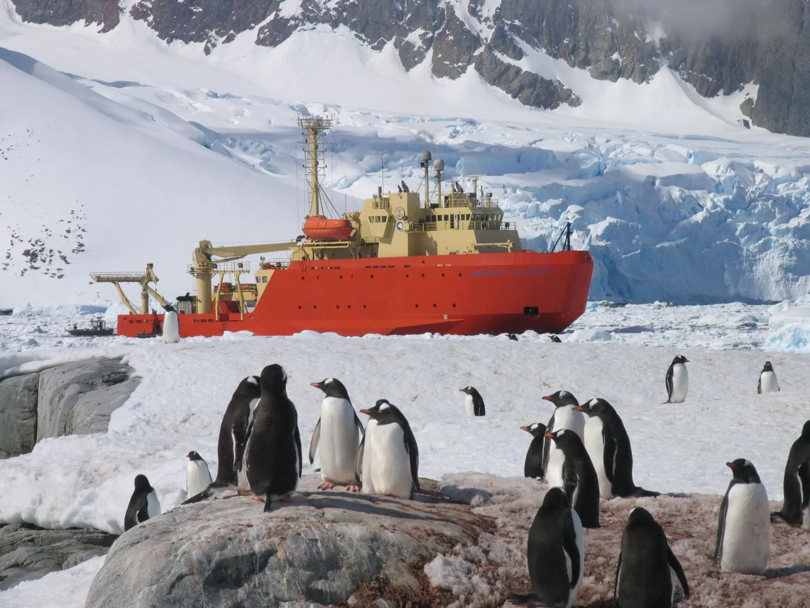 Gentoo penguins watch the research vessel Laurence M. Gould near Petermann Island (NSF/Christine Hush)